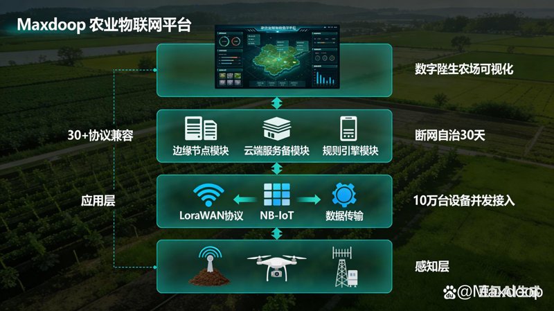 蔬菜种植技术：迎接绿色农业的新浪潮