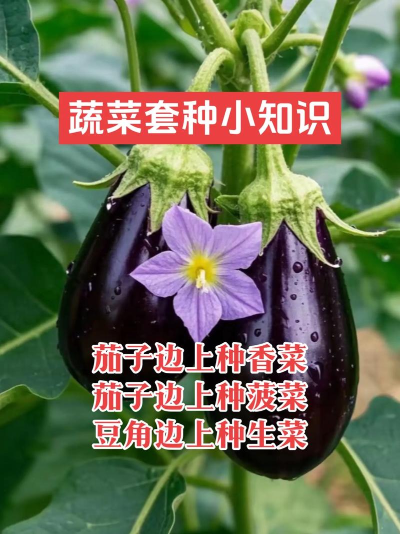 潍坊农业科技公司的创新趋势